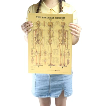 Corpul Uman Explicație Hartă Schelet Hârtie Kraft Retro Poster Clasă Muzeul De Pictura Decorativa Home Decor De Perete Autocolant